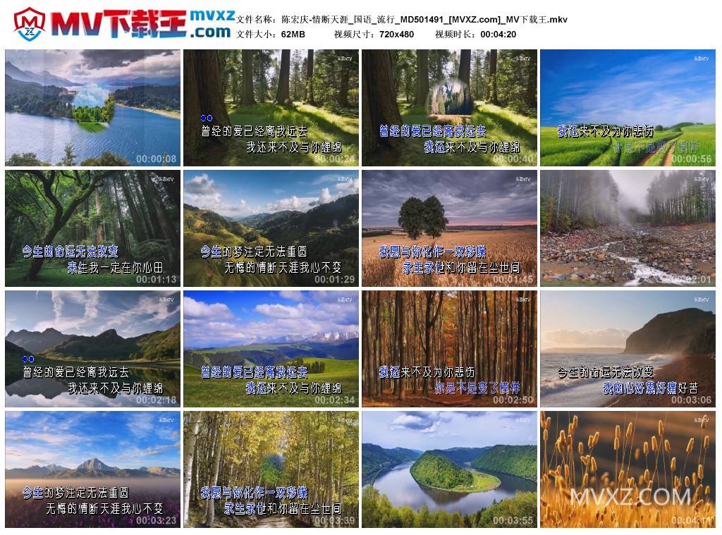 陈宏庆-情断天涯_国语_流行_MD501491